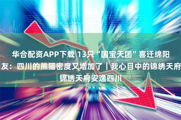 华合配资APP下载 13只“国宝天团”喜迁绵阳新家！网友：四川的熊猫密度又增加了｜我心目中的锦绣天府安逸四川