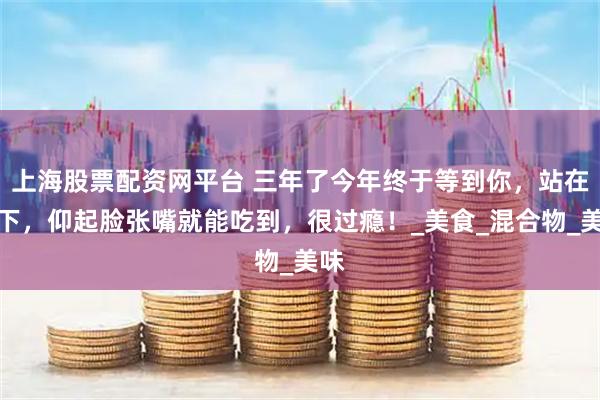 上海股票配资网平台 三年了今年终于等到你,站在树下,仰起脸张嘴就能吃到,很过瘾!_美食_混合物_美味