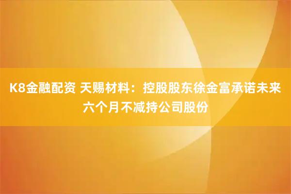 K8金融配资 天赐材料：控股股东徐金富承诺未来六个月不减持公司股份